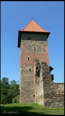 Zamek Chudów , Fotografia 1203
