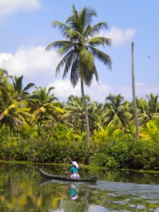 Kerala - backwaters (India), Photo 1310