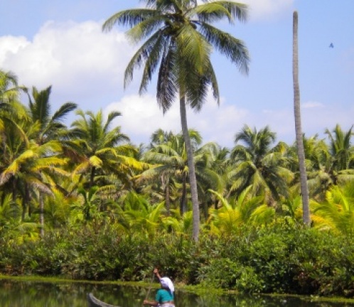 Kerala - backwaters (India), Photo 1310