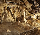 Jaskinia Niedzwiedzia, Fotografia 1168