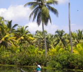 Kerala - backwaters (Indie), Fotografia 1310