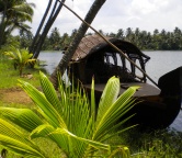 Kerala - backwaters (Indie), Fotografia 1311