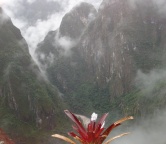 Machu Picchu, Photo 1538