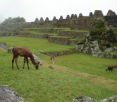 Machu Picchu, Photo 1540