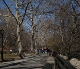 Central Park (Nowy Jork), Fotografia 1599