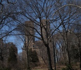 Central Park (Nowy Jork), Fotografia 1600