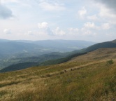 Bieszczady (Mountains in Poland), Photo 221