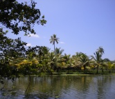 Kerala - backwaters (India), Photo 2359