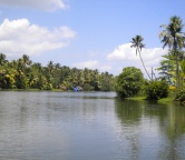 Kerala - backwaters (India), Photo 2364