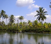Kerala - backwaters (Indie), Fotografia 2365