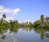 Kerala - backwaters (Indie), Fotografia 2367
