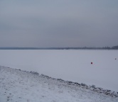 Jezioro Pogoria IV (Dąbrowa Górnicza), Fotografia 345