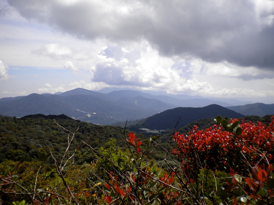 Malaysia - Cameron Highlands