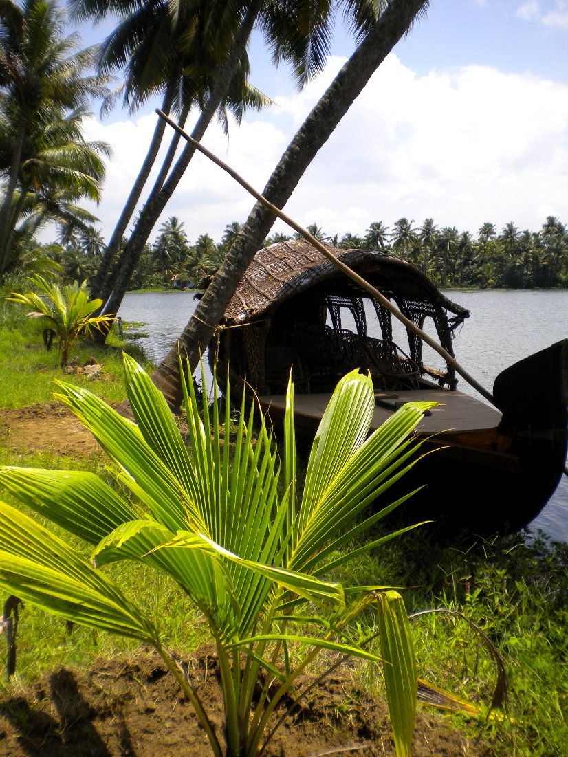 Kerala backwaters in India